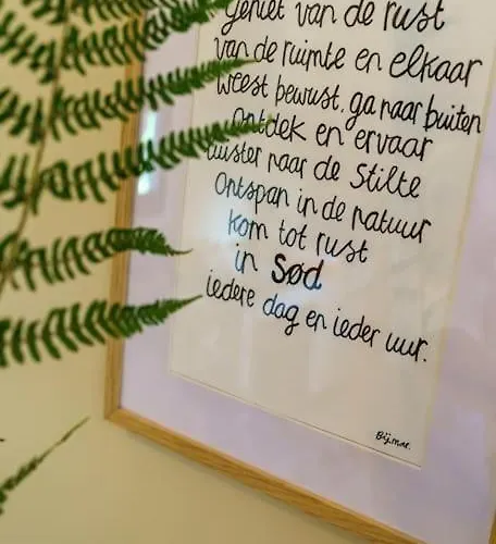 Sod I Tiny House Epe